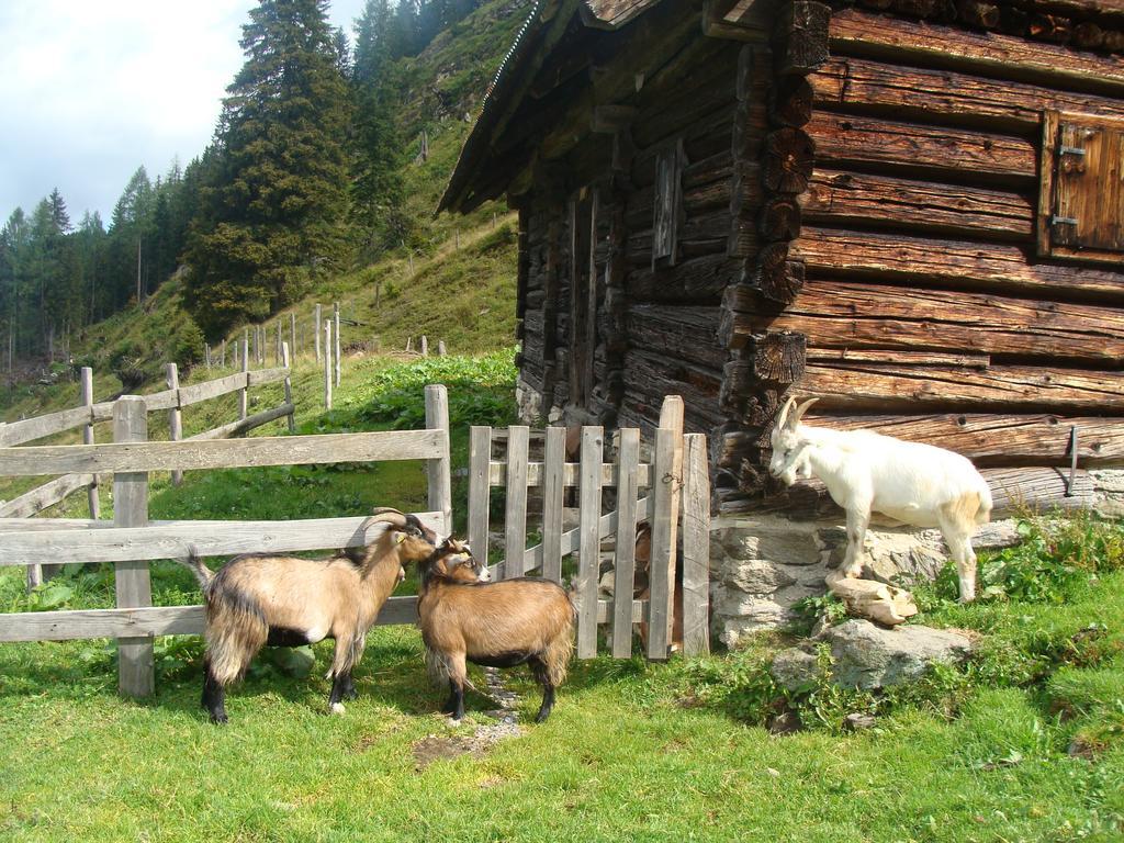 Landhotel Haeuserl Im Wald Grobming Esterno foto