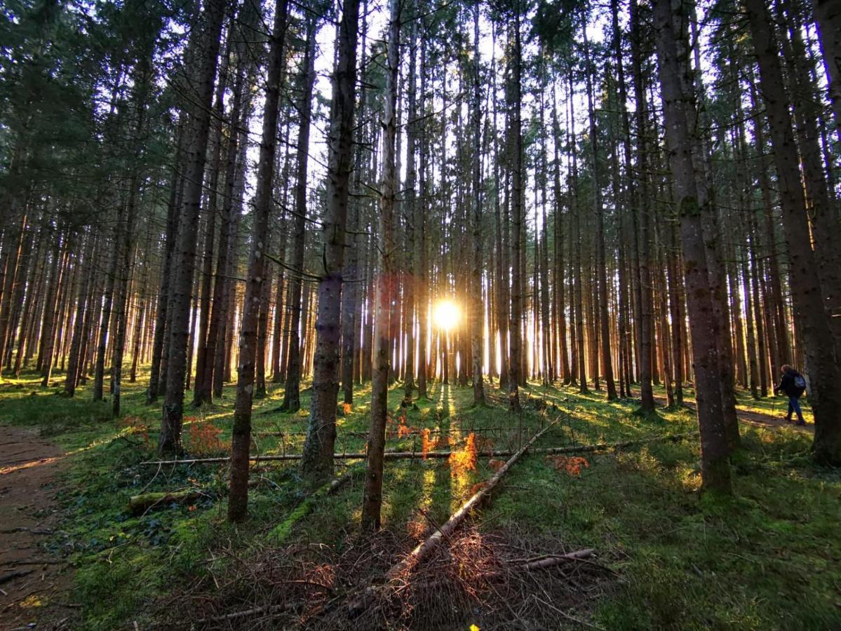 Landhotel Haeuserl Im Wald Grobming Esterno foto